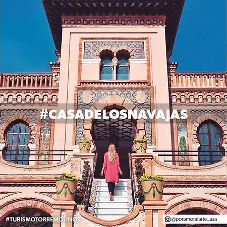 Begonia 119 טורמולינוס