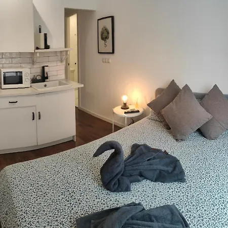 Begonia 119 * Torremolinos