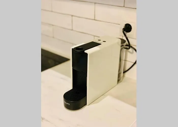 Begonia 119 * Torremolinos