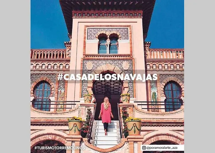 Begonia 119 Torremolinos